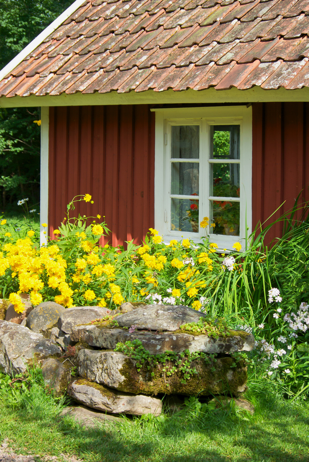 Red cottage