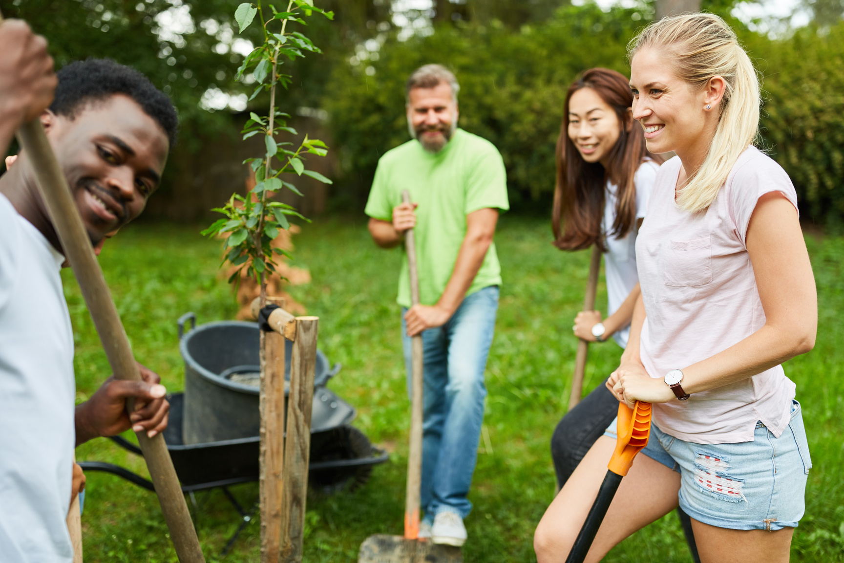 Team Volunteer Plants a Tree